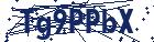 captcha here